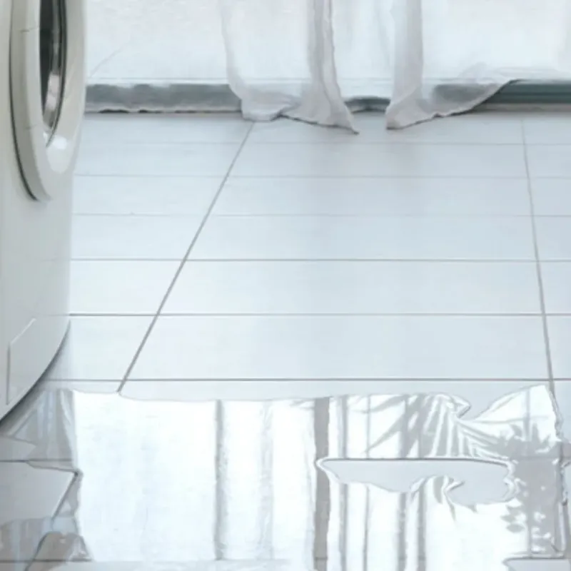 Appliance Leak Cleanup in Sheldon, IL