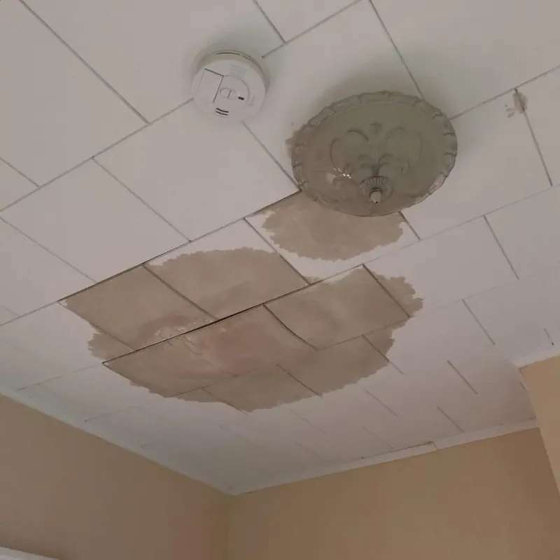 Ceiling Water Damage Repair in Sheldon, IL