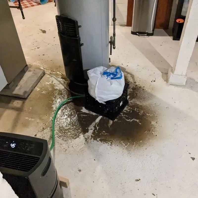 Sewage Backup Cleanup Service in Sheldon, IL